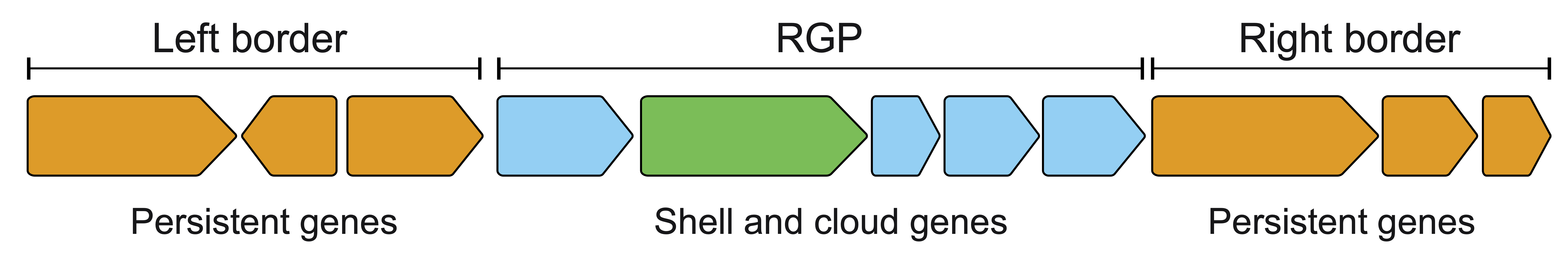 RGP and Spot